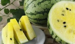 吃瓜黑料精品一区,独家爆料，真相大白